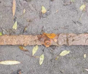 Magnet Fishing Landed Viking Sword